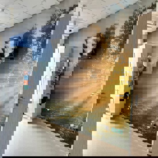 5F9169e5 5A11 475C Bb07 Ca3655dd26a3
