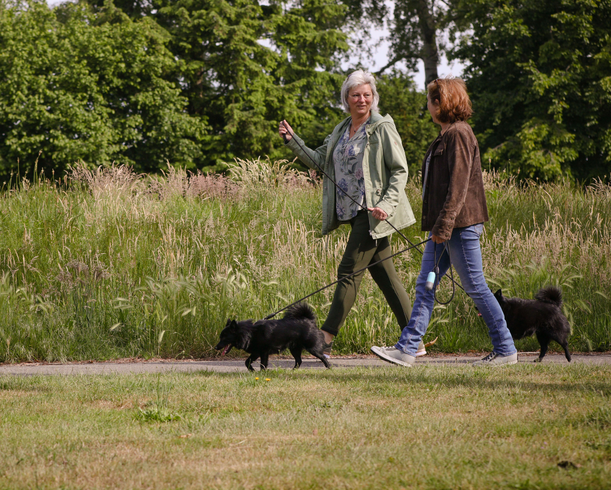 MR hond uitlaten 0607 - uitgesneden
