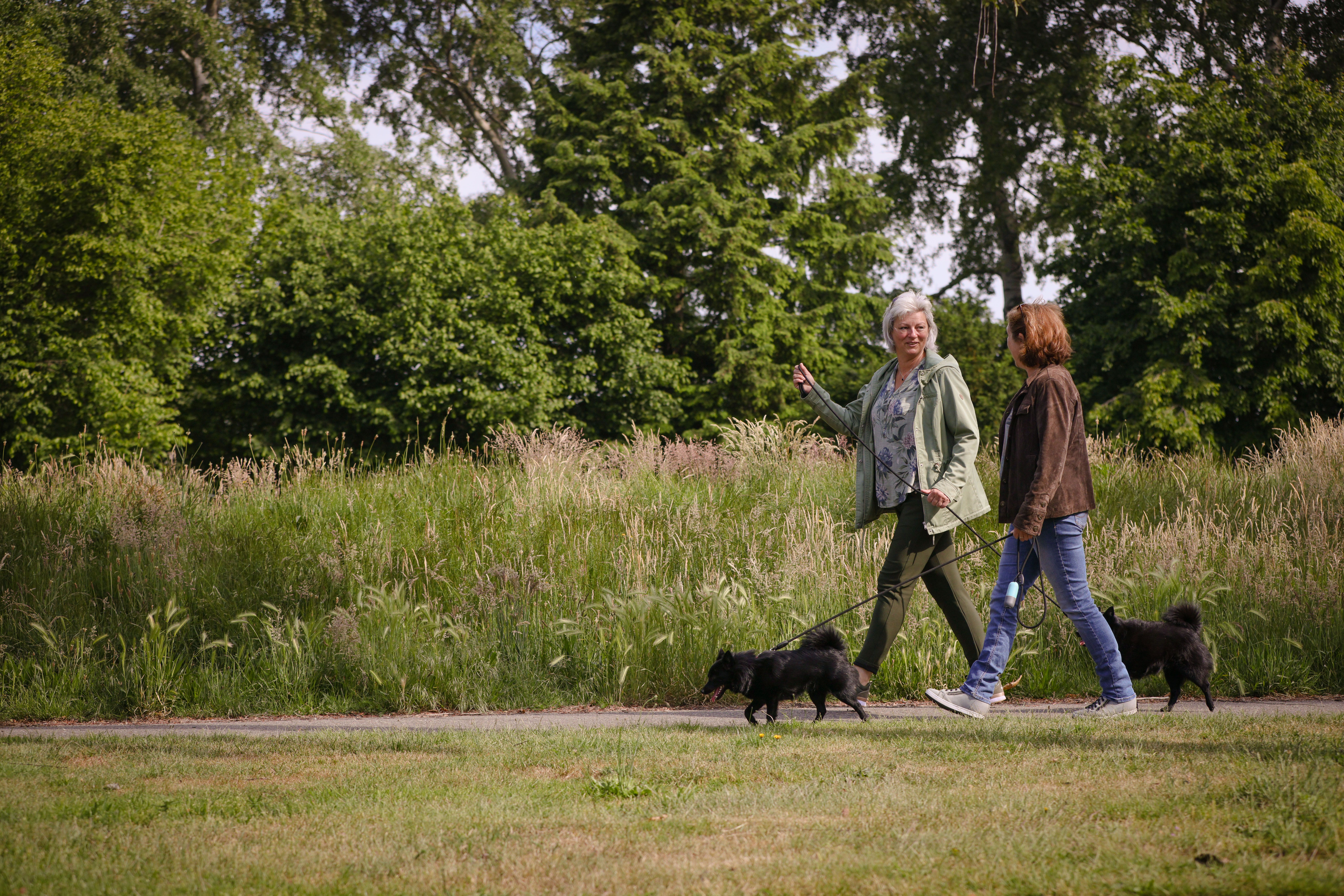 HR Brnhvn 31Mei2022 0607 Hond Uitlaten 4